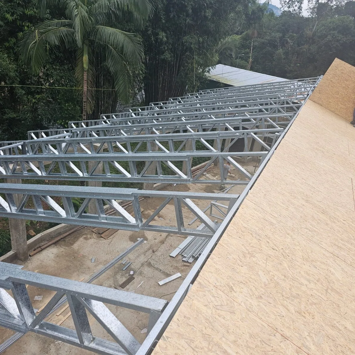 Treliças de aço com placa de OSB fixada, com palmeira e mata ao fundo.